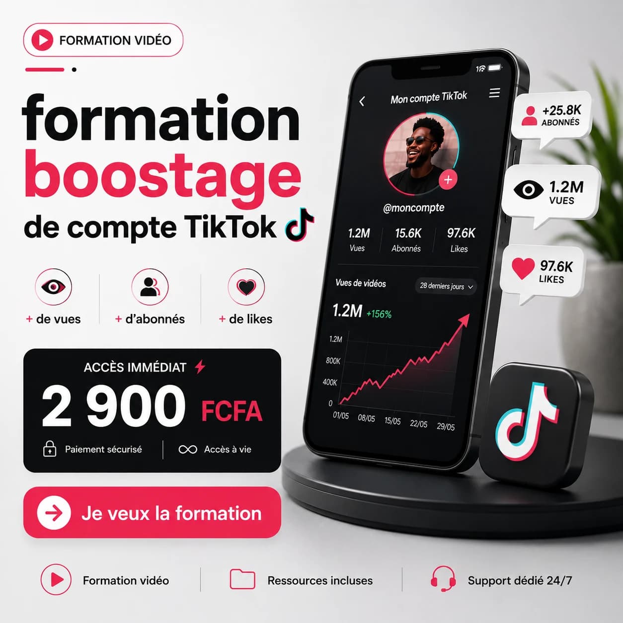 Formation vidéo « Boostage de comptes TikTok », aperçu